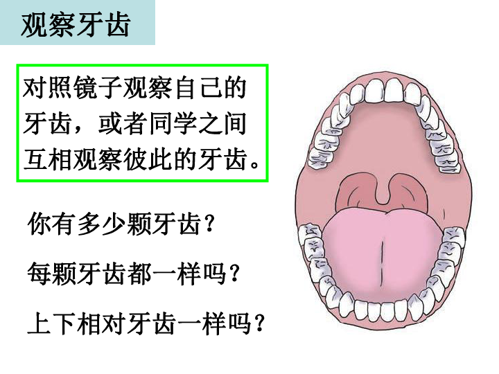 口腔里的变化课件(共17张PPT)