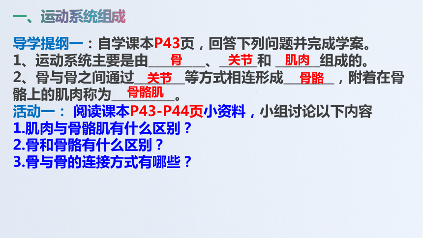 山东省青岛市青岛大学附属中学2020-2021学年第一学期八年级生物上册5.2.1动物的运动  课件（18张PPT）