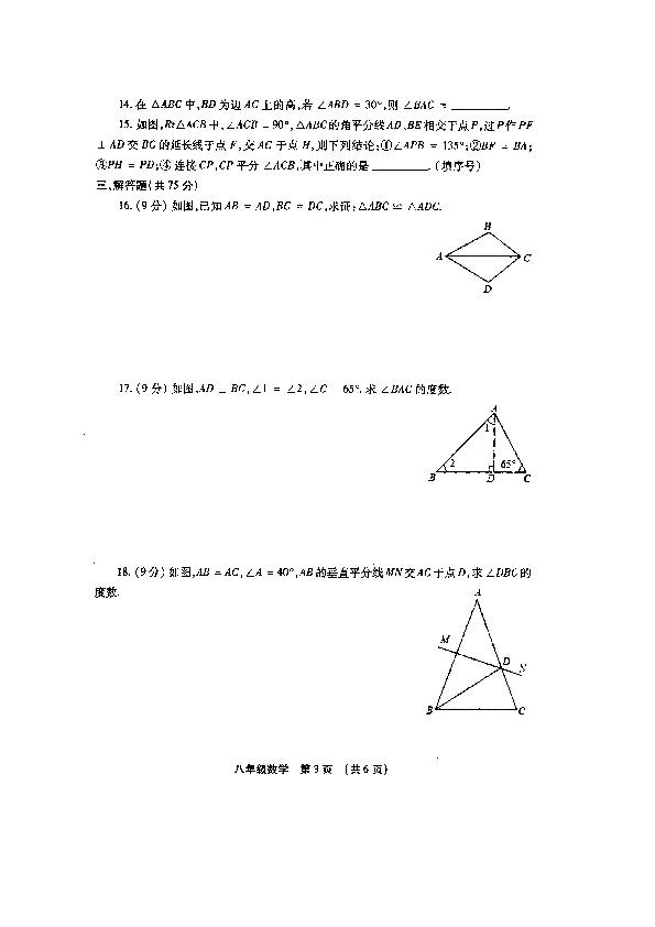 河南省许昌市2018-2019学年八年级上学期期中学业水平检测数学试题（扫描版含答案）