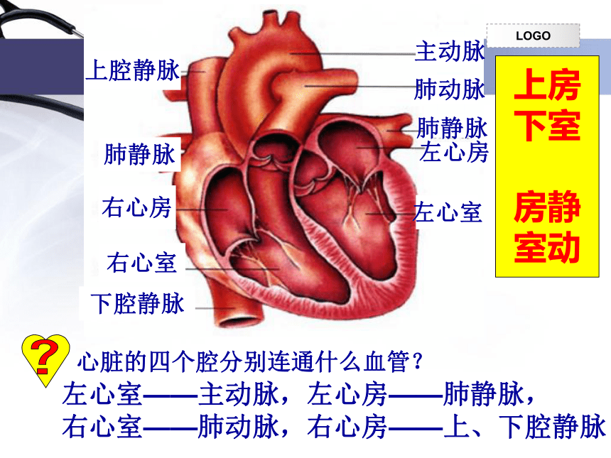 人教版初中生物七年级下册课件 第四章   第三节   输送血液的泵——心脏（共 32 张ppt）