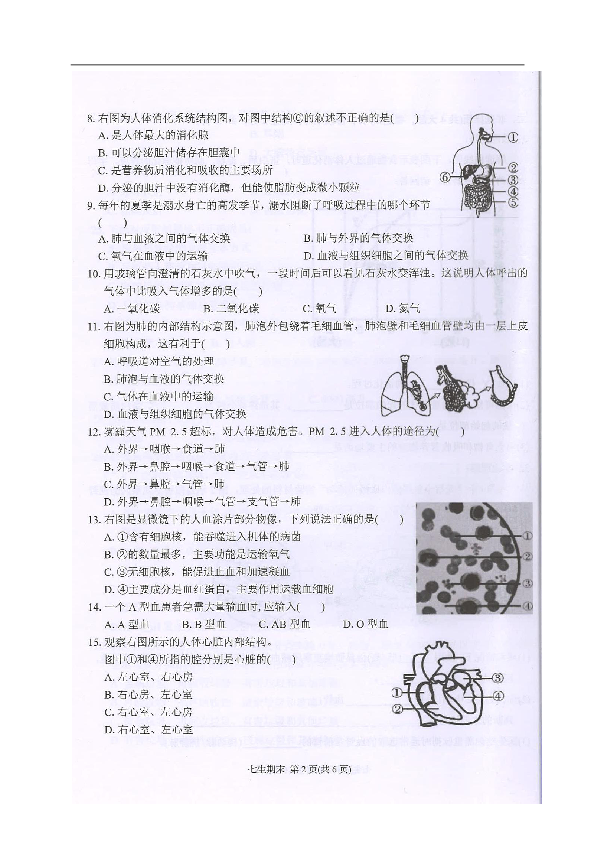 广东省潮州市湘桥区2019-2020学年七年级下学期期末考试生物试题（图片版含答案）