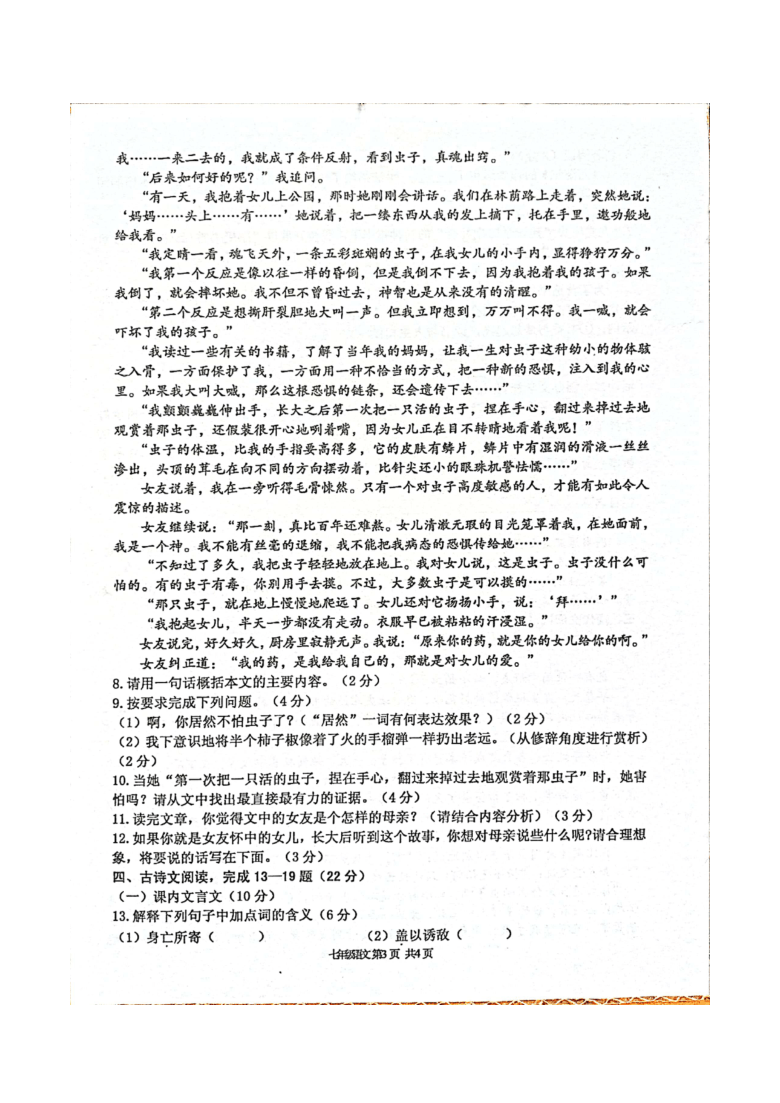 陕西省宝鸡市高新区金台区2020-2021学年第一学期七年级语文期末联考试卷（图片版含答案）