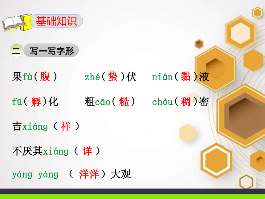 15 珍奇的稀有动物 针鼹 课件