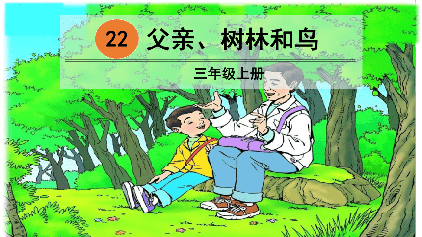 部编版小学语文三年级上册  22 父亲、树林和鸟  课件（26张PPT）