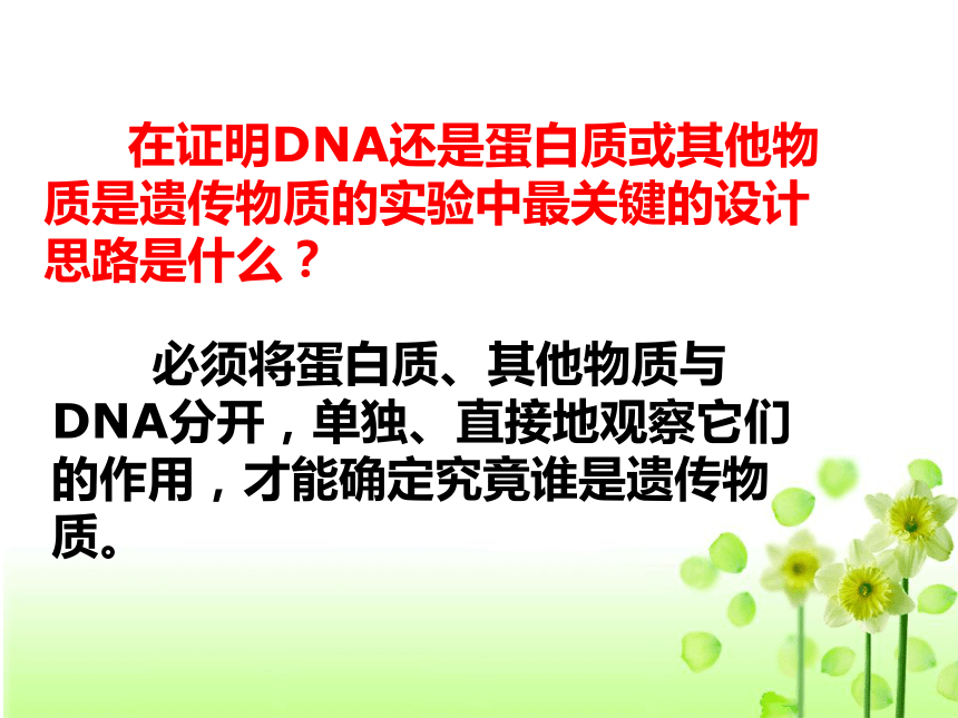 人教版必修二第三章第1节DNA是主要的遗传物质（共38张PPT）