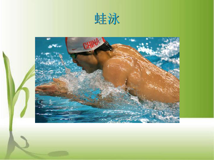 游泳类运动的特点与价值 课件（24张ppt）