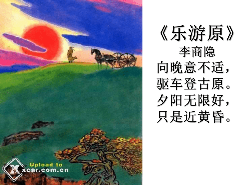 甘肃省安定区李家堡初级中学人教版八年级语文上册：20落日的幻觉信课件（共43张PPT）