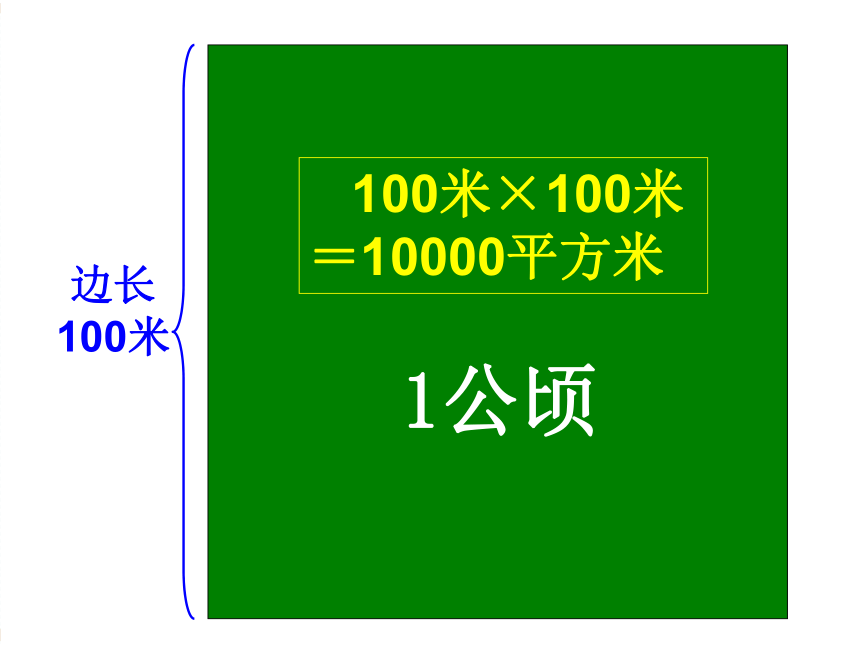 公顷和平方千米 认识公顷课件 (共31张PPT)