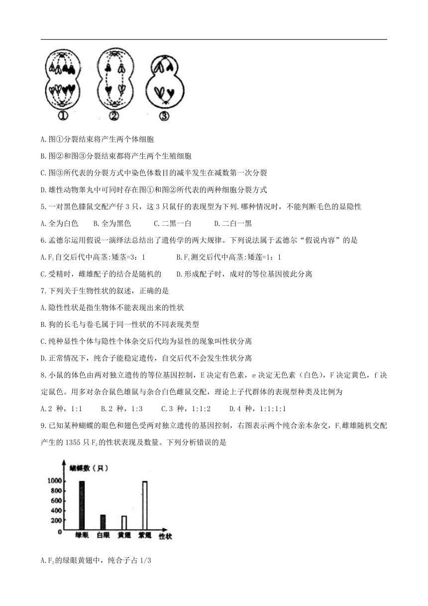 四川省内江市2017-2018学年下学期高一期末考试生物试卷