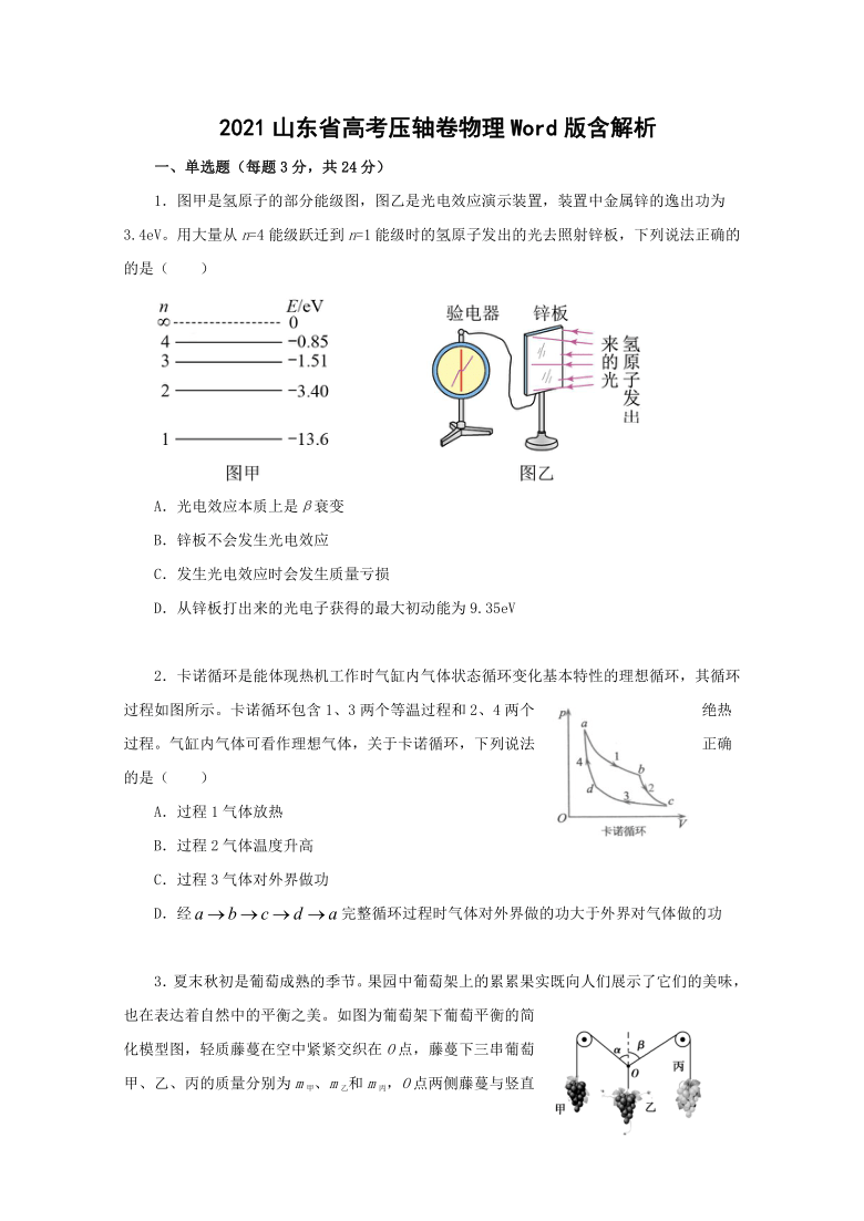 2021山东省高考压轴模拟卷 物理+Word版含解析