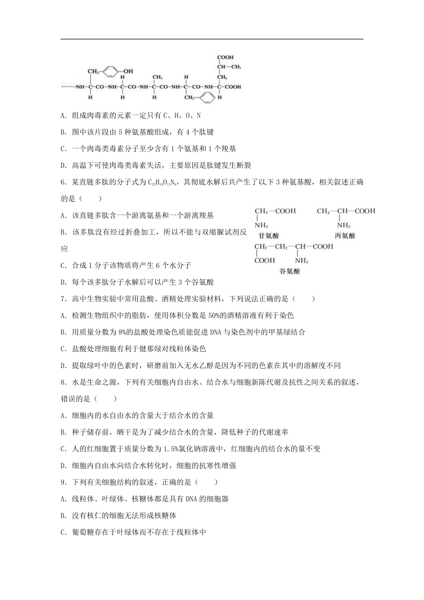 辽宁省沈阳市东北育才学校2019届高三生物上学期第一次模拟考试试题