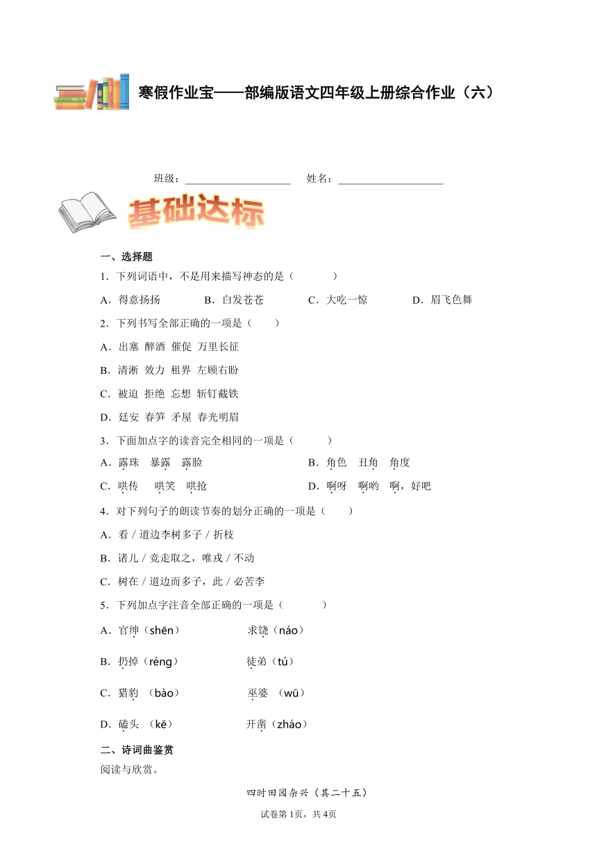 课件预览