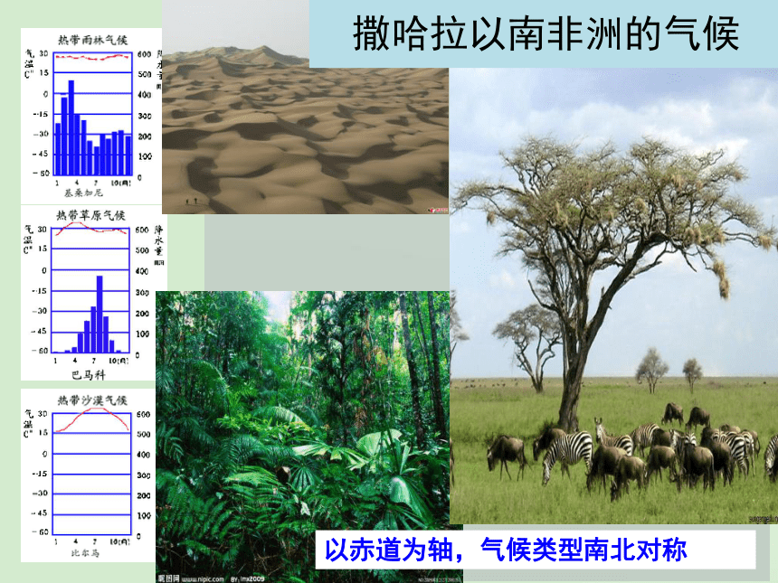 第三節撒哈拉以南的非洲