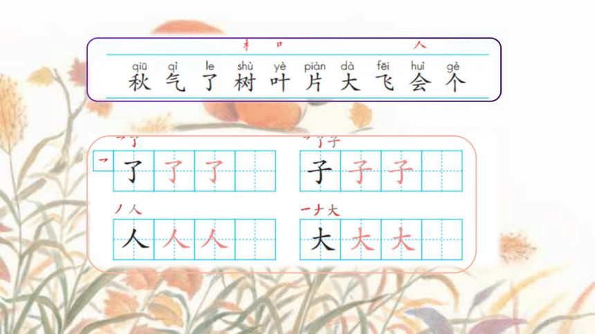 课件预览