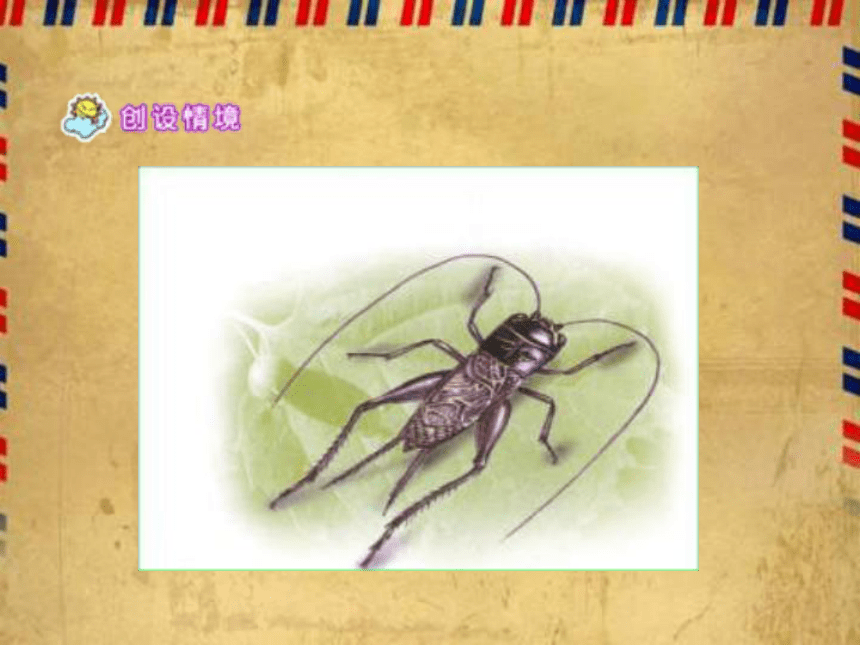 语文六年级下冀教版26《蟋蟀的住宅》课件2