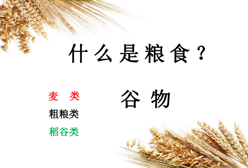 节约粮食  从我做起主题班会课件（20张幻灯片）