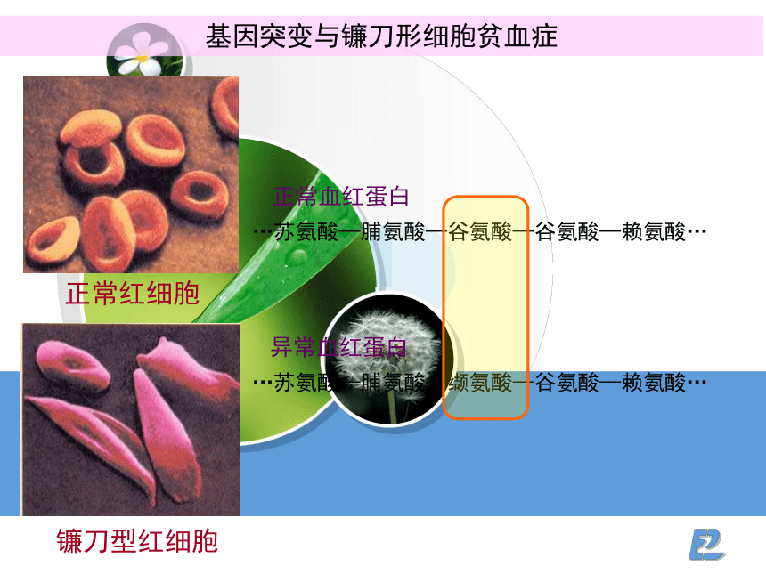 遗传血型规律表图片_血型遗传规律表_遗传血型规则