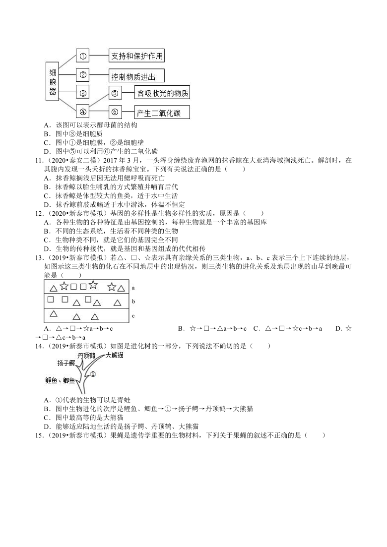 2018-2020年山东中考生物各地区模拟试题分类（泰安专版）（7）——生物多样性（word版含解析）