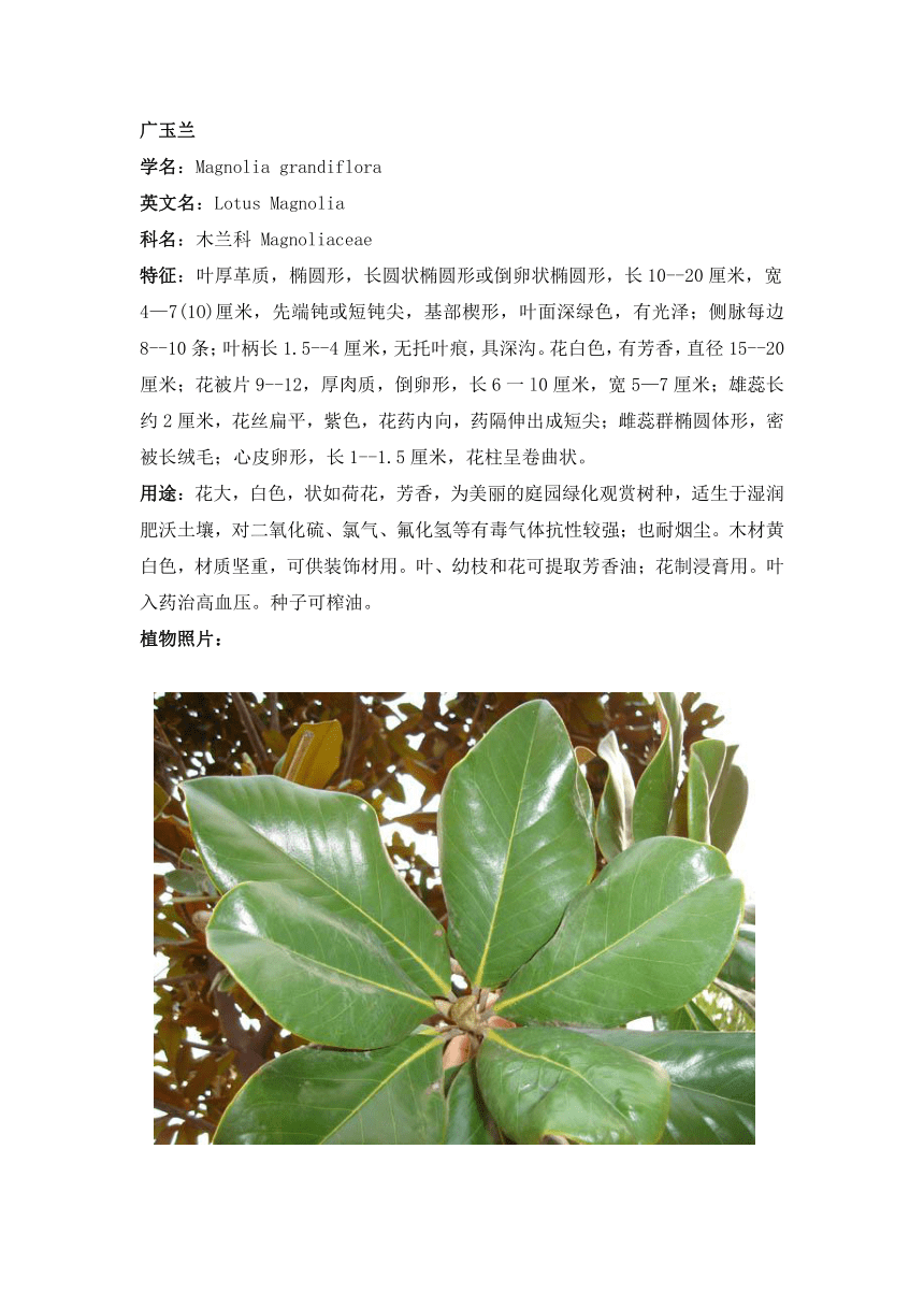 校园植物名录