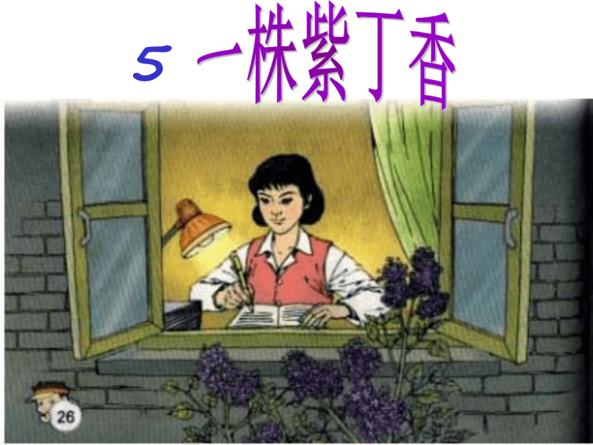 （苏教版）二年级语文上册课件 一株紫丁香 4