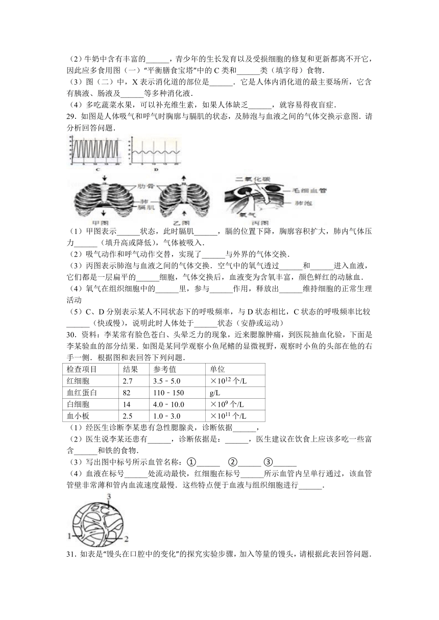 江西省赣州市章贡区2015-2016学年七年级（下）期中生物试卷（解析版）