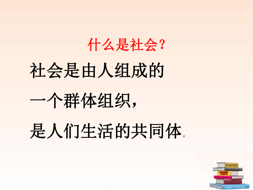 在社会中成长课件 人教新课标版