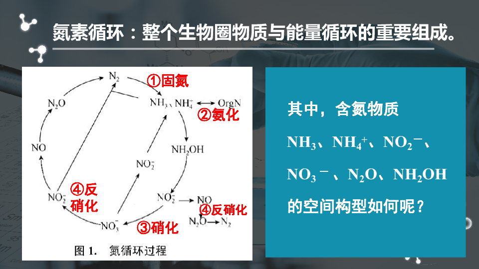高中化学苏教版选修三 4．1．3 分子的空间构型——从氮素循环中含氮物质开始的讨论 课件 （共15张PPT）
