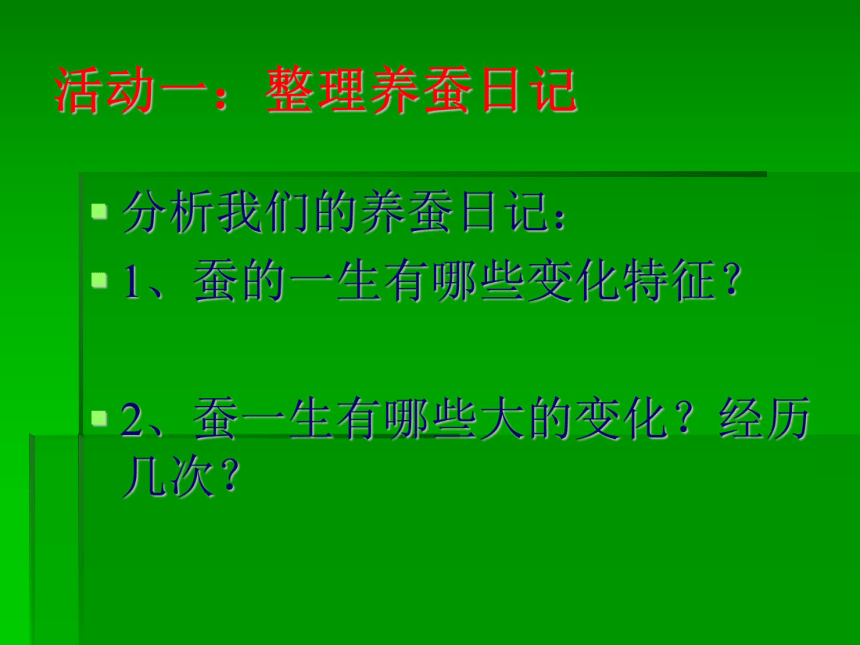 3.4昆虫 课件