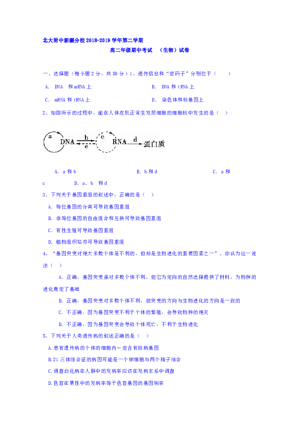 新疆自治区北大附中新疆分校2018-2019学年高二下学期期中考试生物试题