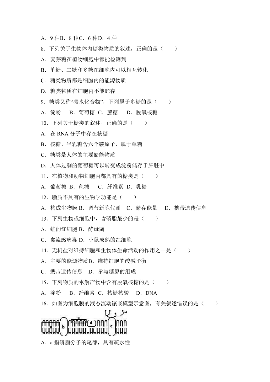 江苏省淮安市涟水中学2016-2017学年高一（上）段测生物试卷（10月份）（解析版）