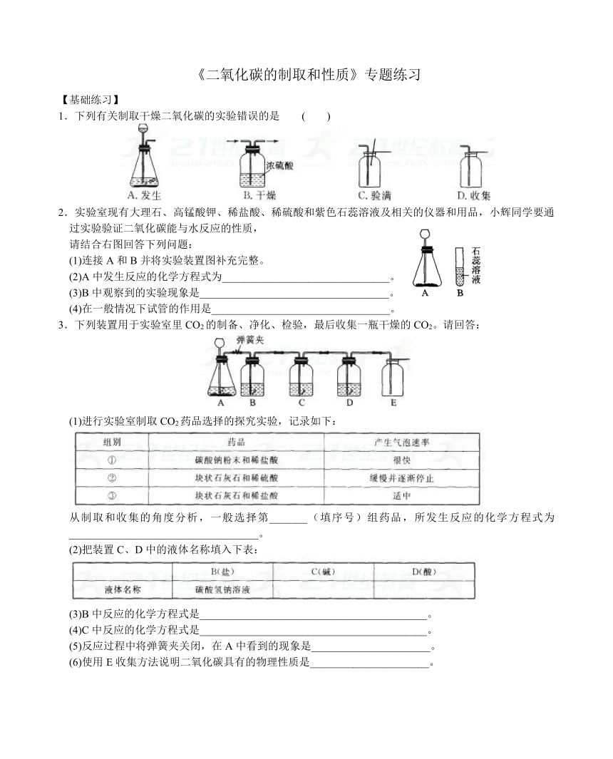 沪教版九年级化学专题汇编：《二氧化碳的制取和性质》