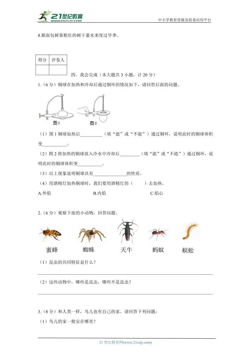 课件预览