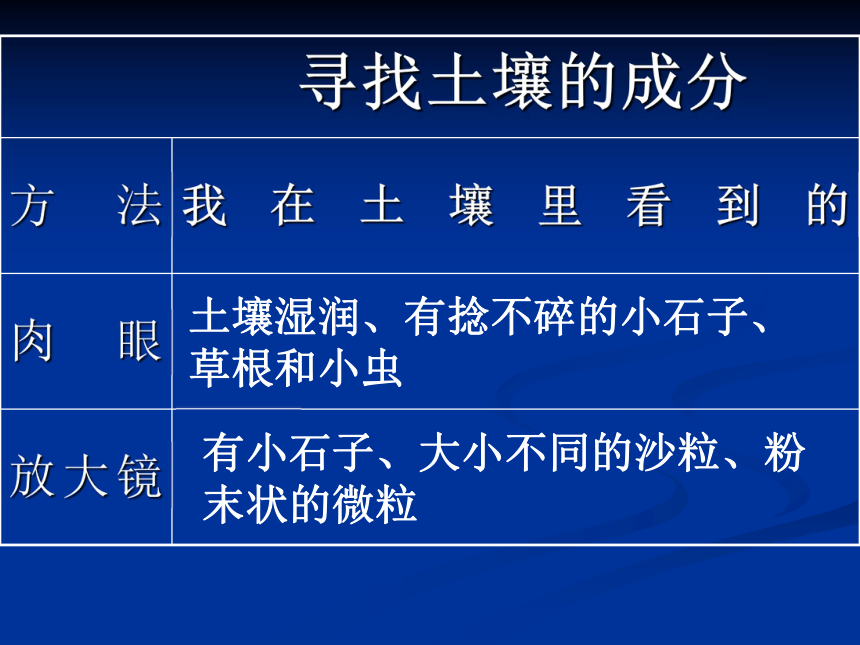 土壤中有什么 课件