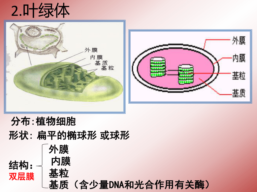 人教版生物必修一第三章细胞器—系统内的分工合作（共26张PPT）