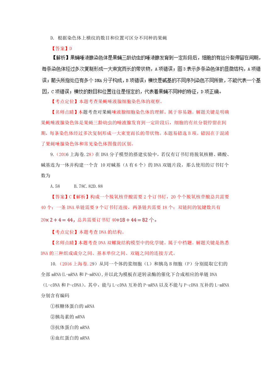 三年高考（2015-2017）生物试题分项版解析：专题07 遗传的分子学基础（解析版）