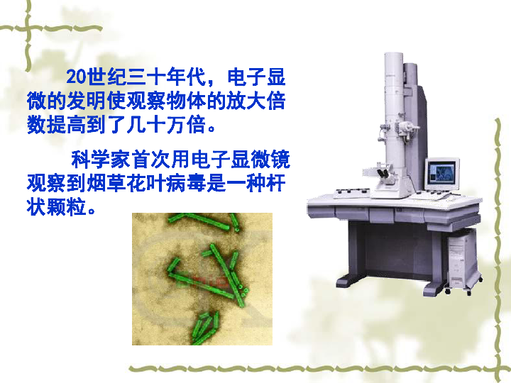 六年级下册科学课件- 《病毒》 北京课改版      (共21张PPT)