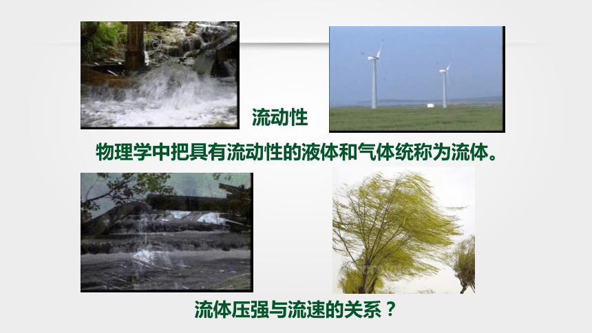 上下表面空氣流速大小情況流體壓強與流速的關係飛機升力產生的原因