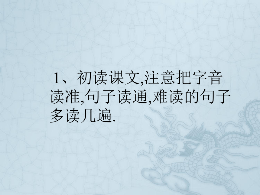 游天然动物园  课件(共25张PPT)