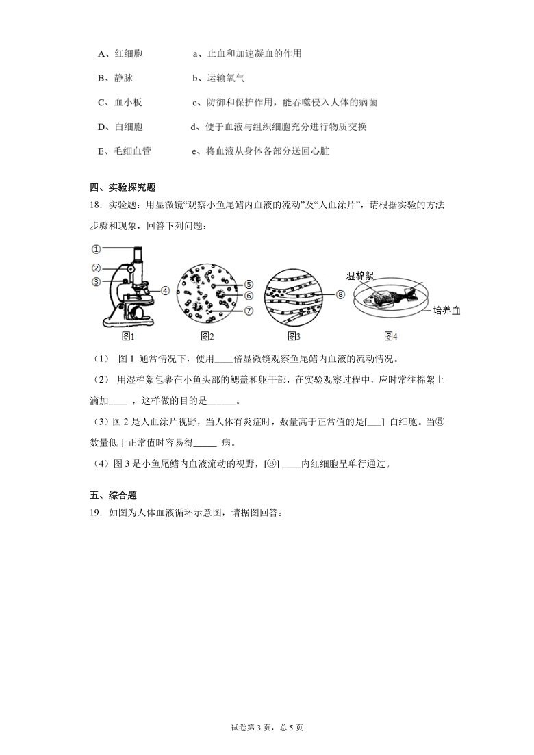 2020-2021学年北京版七年级下册第五章生物体内的物质运输测试卷（Word版 含答案）