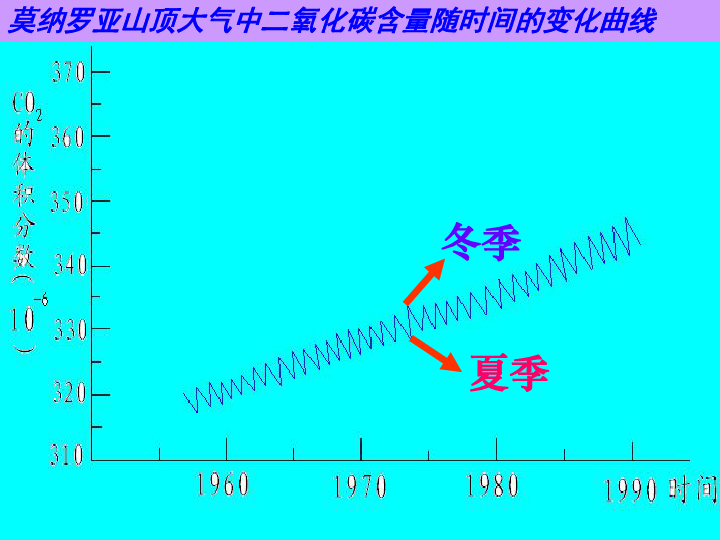 大自然中的二氧化碳