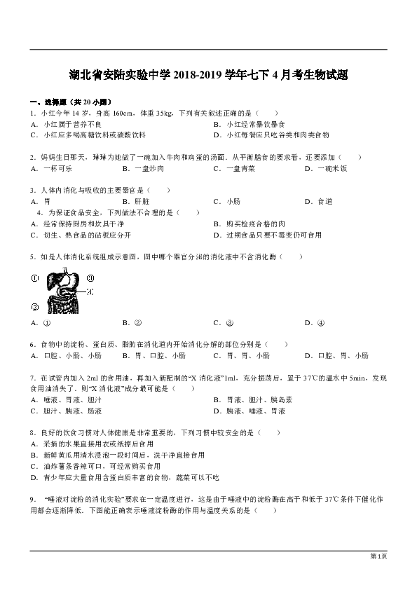 湖北省安陆实验中学2018-2019学年七年级下学期月考生物试题（4月）（解析版）