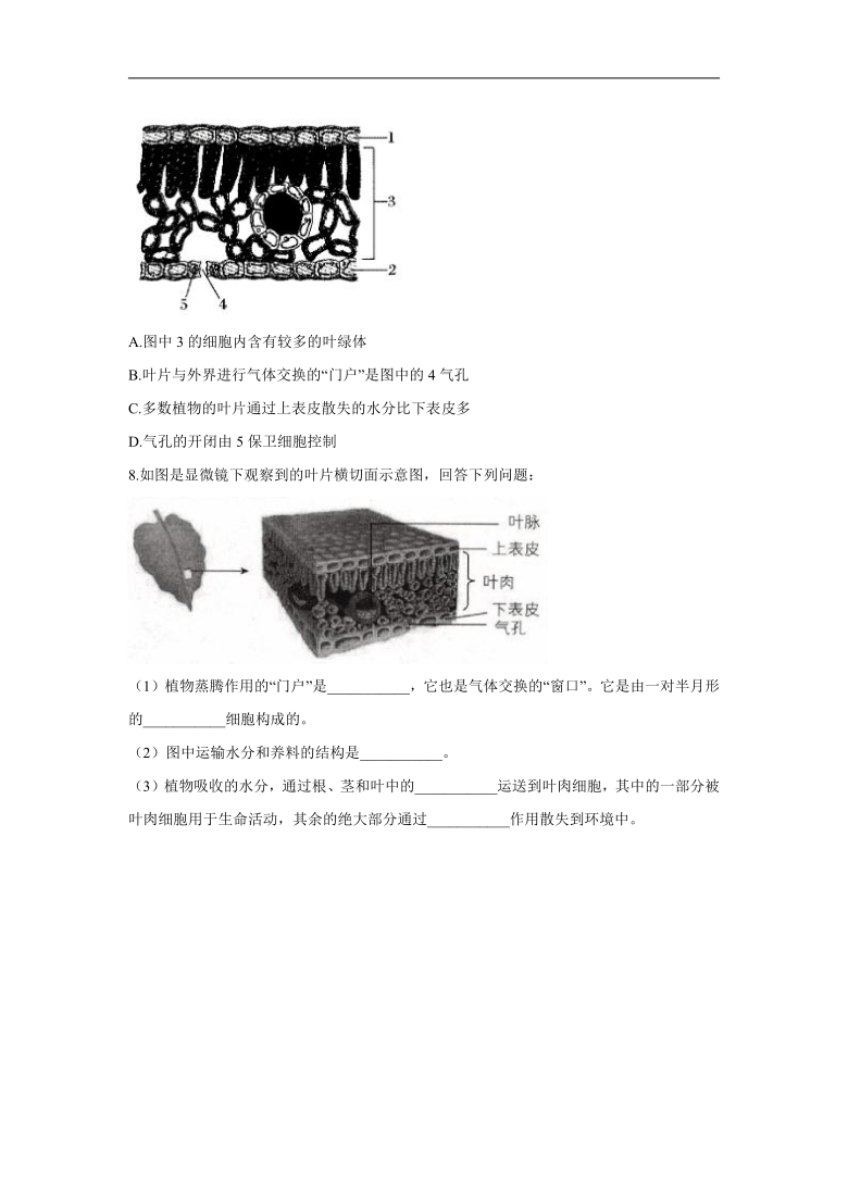 3綠色植物與生物圈的水循環第2課時 2021- 2022學