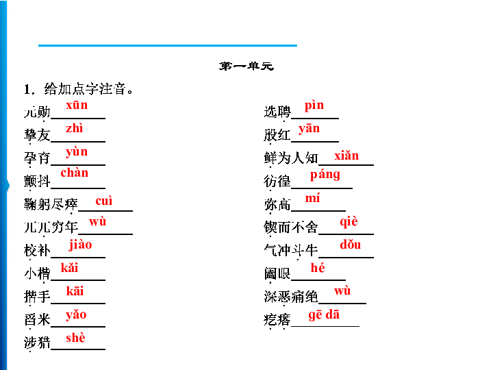 统编版语文七下期末专题复习 专题　拼音与汉字  训练课件（15张ppt）
