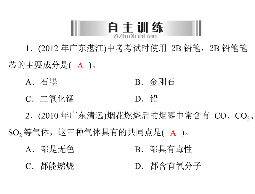 2013年广东省中考化学复习课件： 第12讲 碳单质和一氧化碳