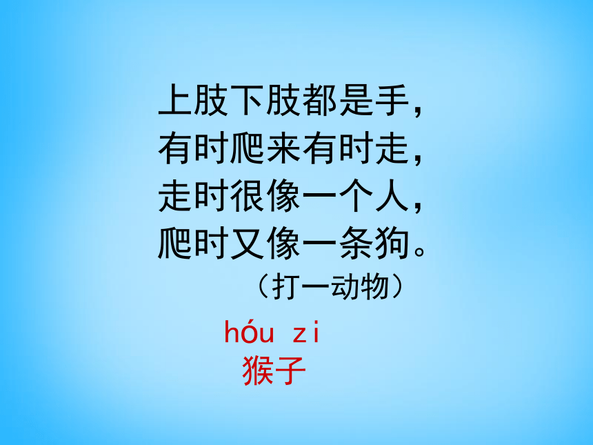 比尾巴  课件