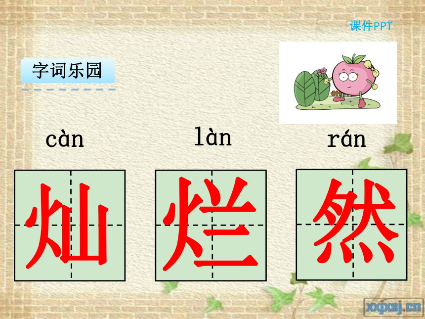 12阳光教学课件