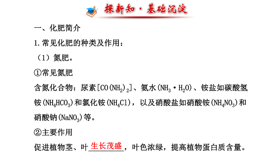 11.2 课题2 化学肥料