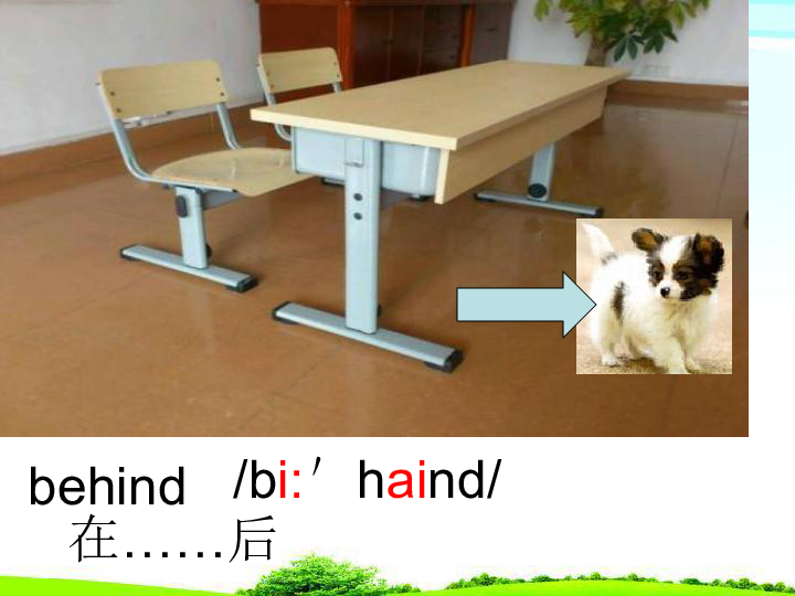 Lesson 10 Where is my dog? 课件 13张PPT