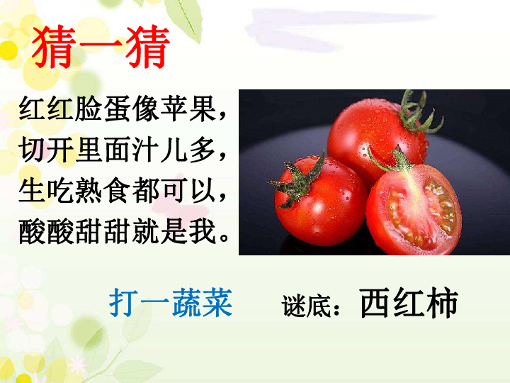 科学一年级下青岛版5.15番茄与番茄酱课件（21张ppt）