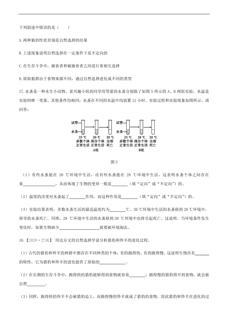 2021年内蒙古包头市中考生物一轮复习课时训练22　生命的起源和生物进化（Word版含解析）